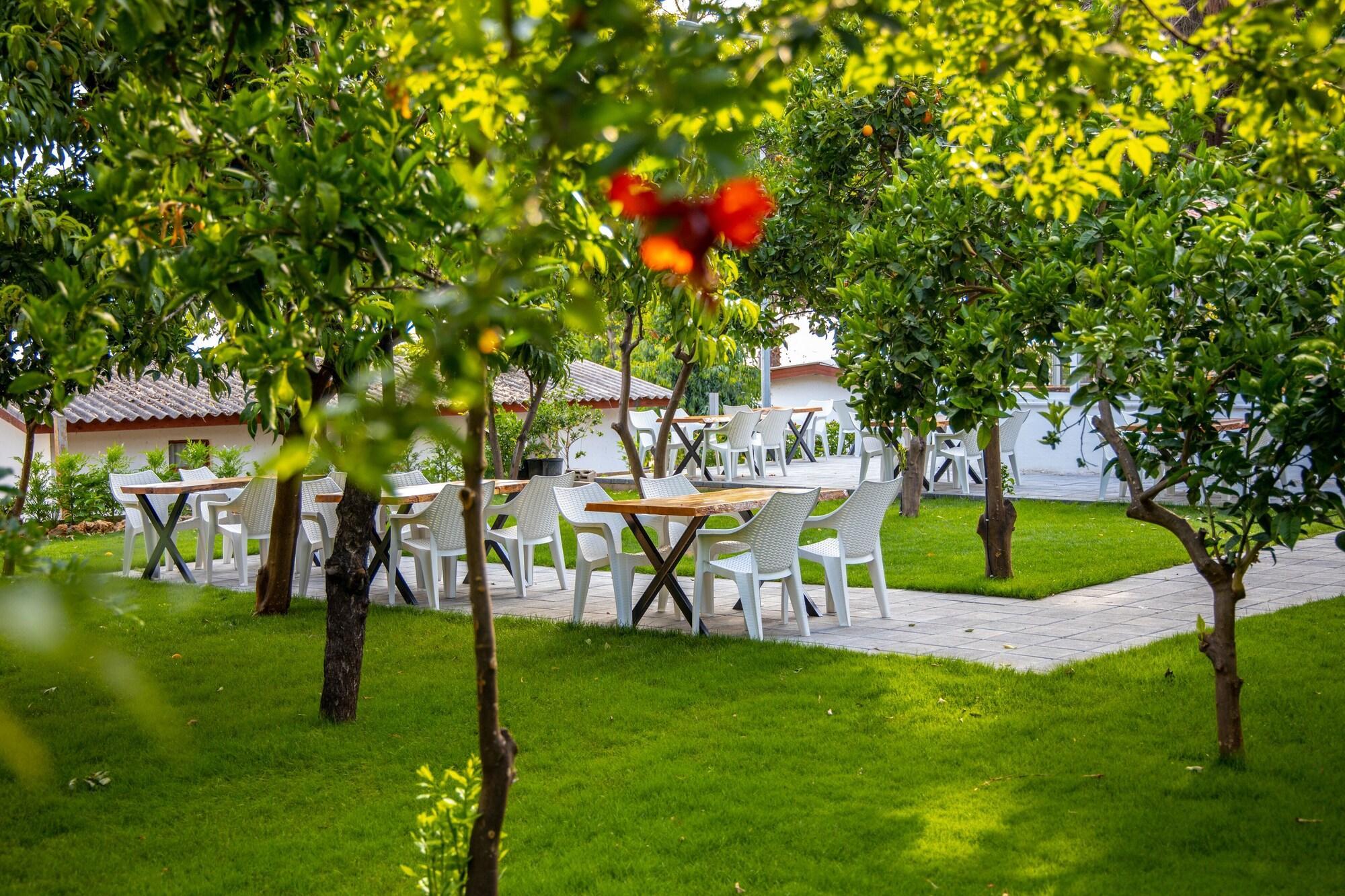 Aroma Butik Hotel Kızılot 外观 照片